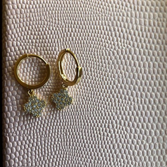 Jewelry - Beautiful earrings!! Sterling Silver and plated